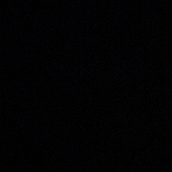 Meet your Posher, Max - Picture 1 of 1